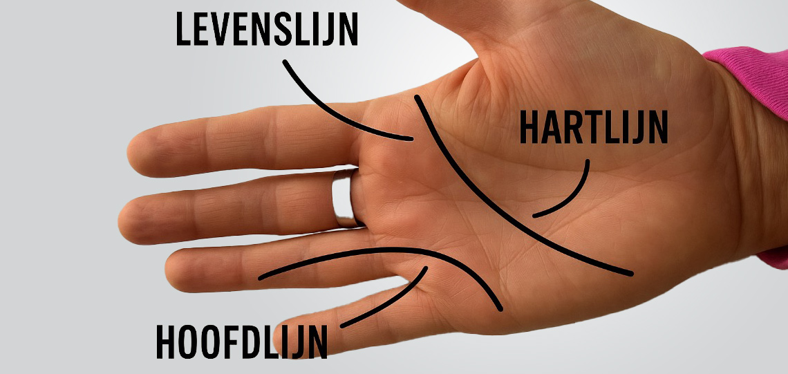 handlezen door ChatGPT